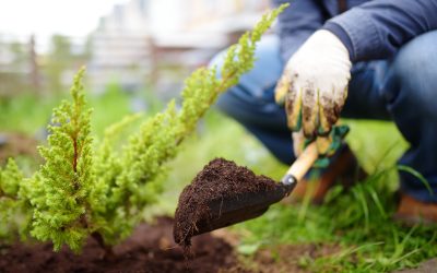 Tips to Get You Started on Preparing Your Garden for Spring